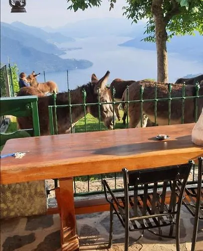 Melissa アパート Vercana